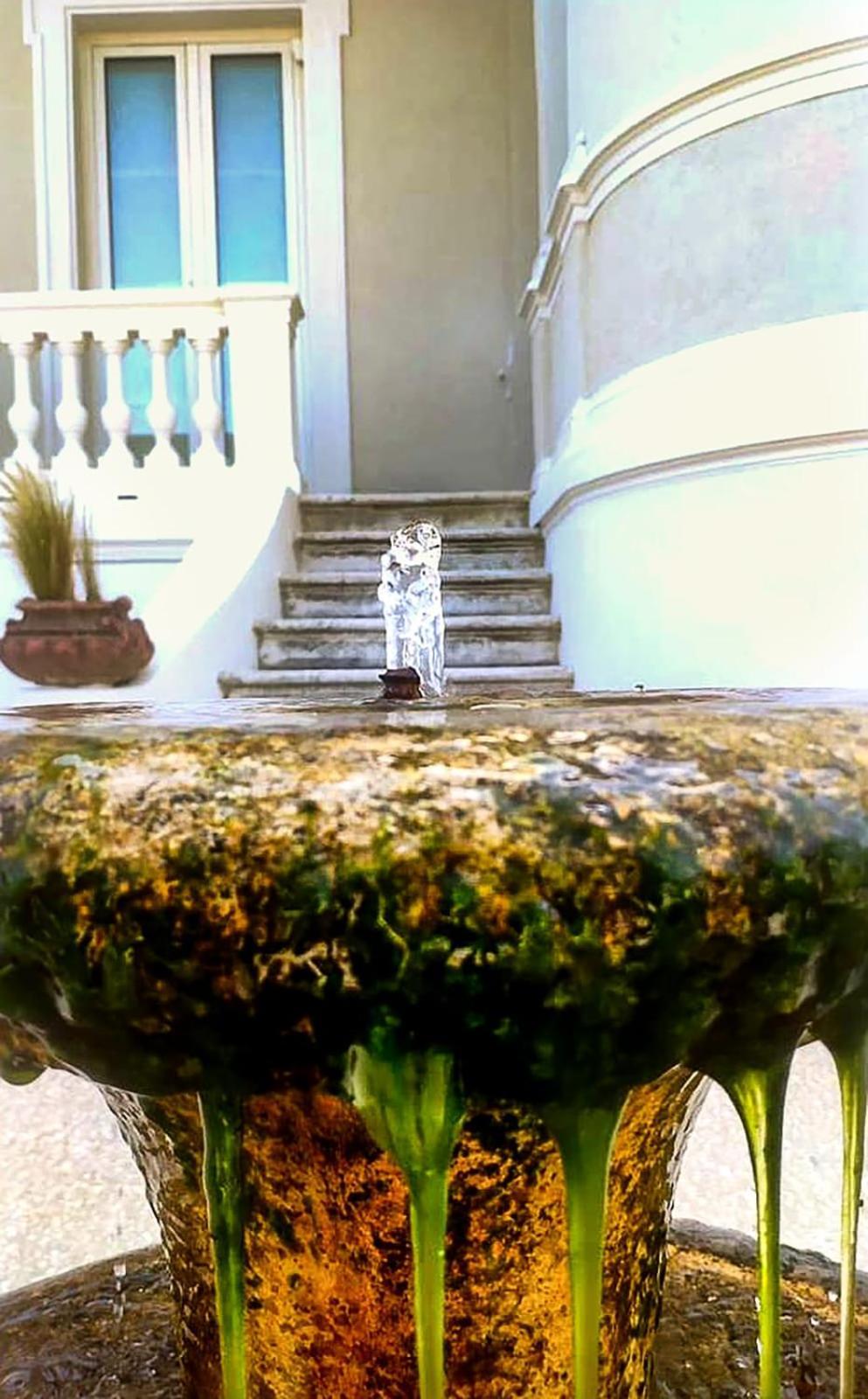 Villa La Torretta Luxury B&B - Adults Only - Rimini Exterior foto